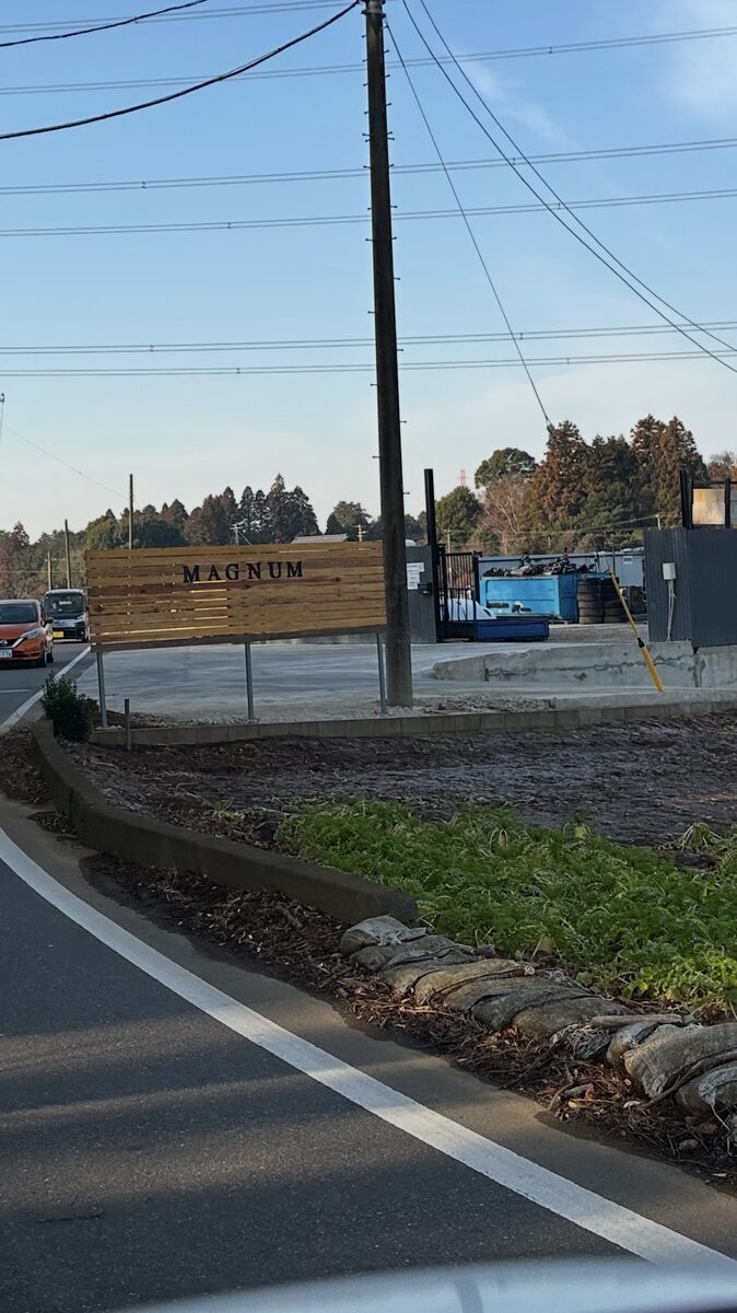 Shipping containers beside a roadside yard