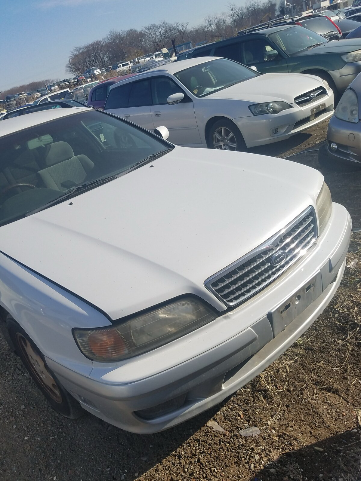Used vehicles parked in the yard